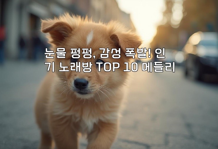 눈물 펑펑, 감성 폭발! 인기 노래방 TOP 10 메들리