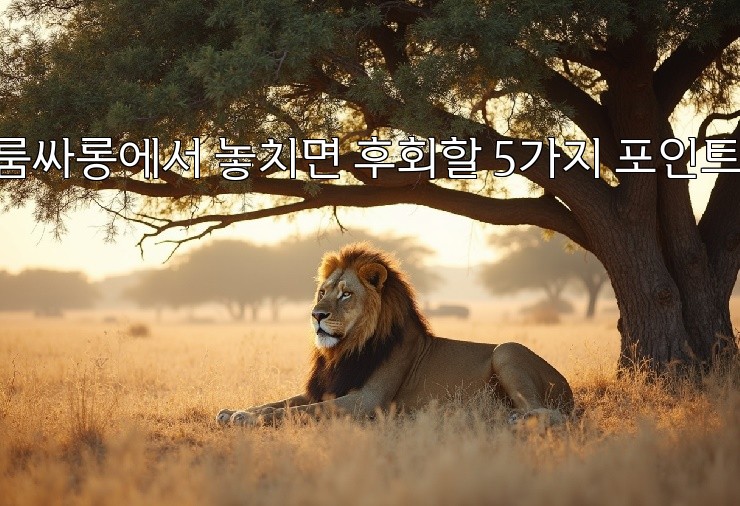 룸싸롱에서 놓치면 후회할 5가지 포인트!