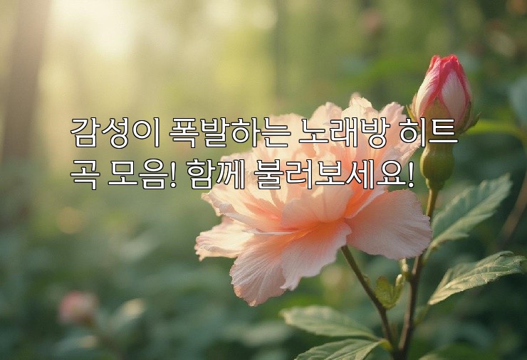 감성이 폭발하는 노래방 히트곡 모음! 함께 불러보세요!