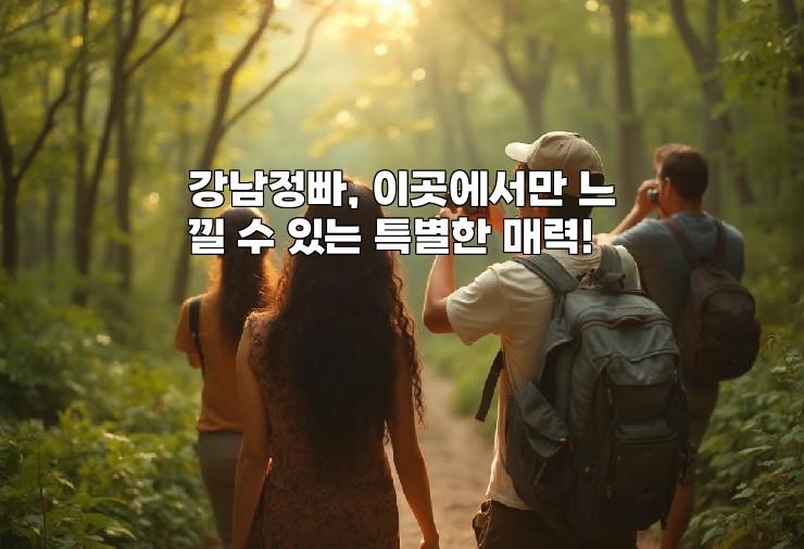 강남정빠, 이곳에서만 느낄 수 있는 특별한 매력!