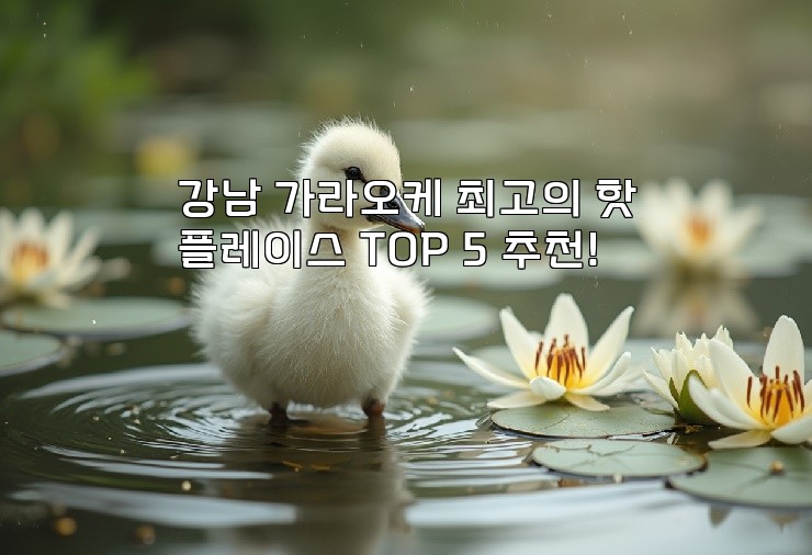 강남 가라오케 최고의 핫플레이스 TOP 5 추천!