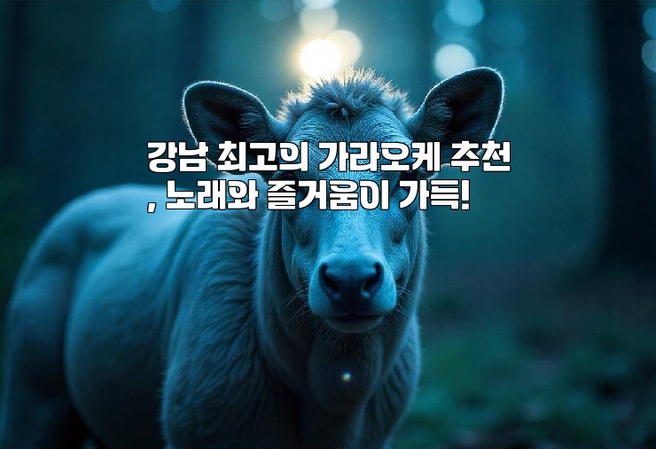 강남 최고의 가라오케 추천, 노래와 즐거움이 가득!