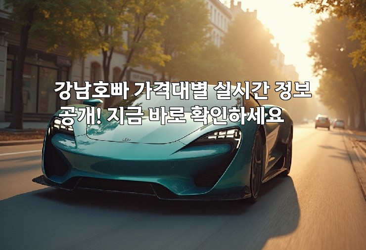 강남호빠 가격대별 실시간 정보 공개! 지금 바로 확인하세요