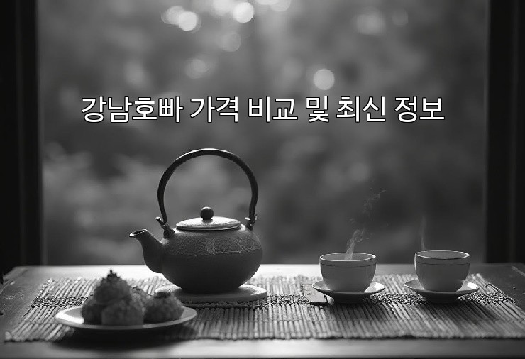 강남호빠 가격 비교 및 최신 정보